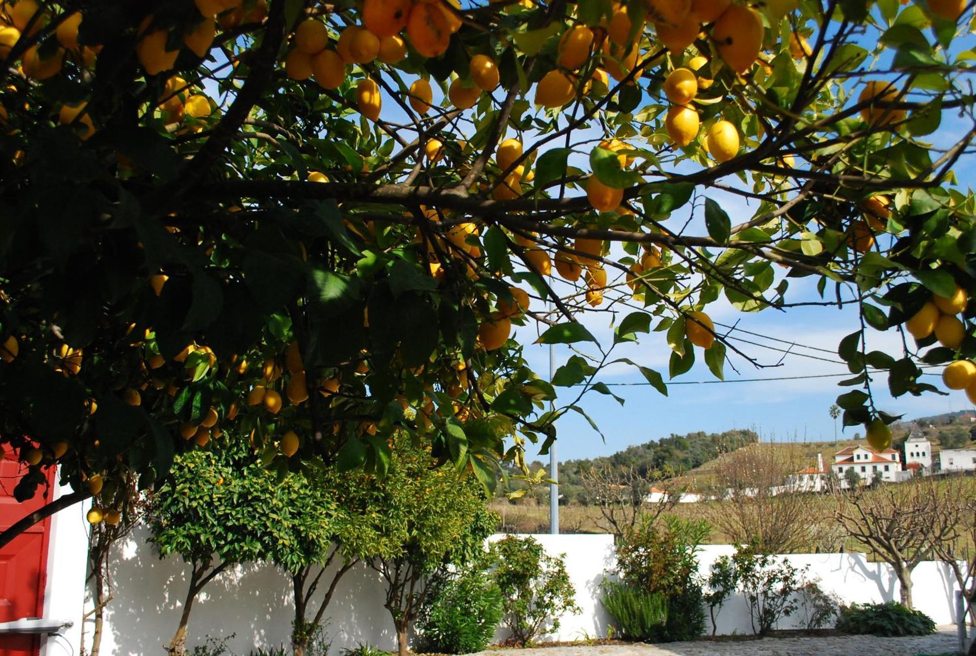Casa Relogio De Sol Villa Ламего Екстериор снимка